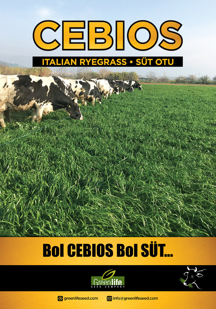 CEBIOS