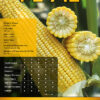 GLS PL 712 1 GLS PL 712 1