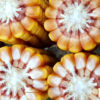 PL 538