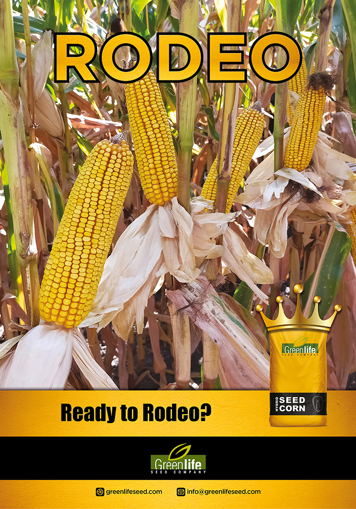 Rodeo Greenlife Seed